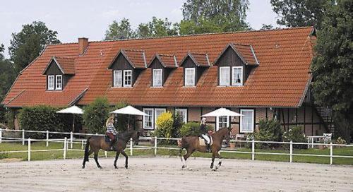 Heidehotel Gut Landliebe Hermannsburg Exteriér fotografie